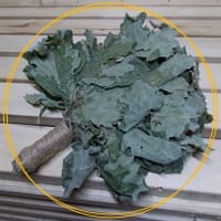 веник дубовый